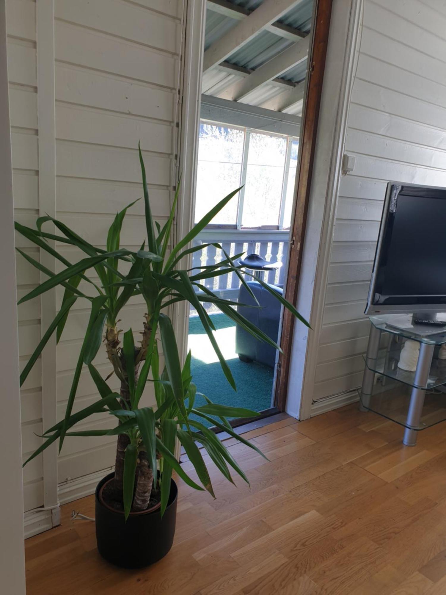 Holiday Home Gol Esterno foto